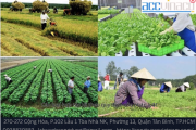 Các loại hợp tác xã theo quy định của pháp luật