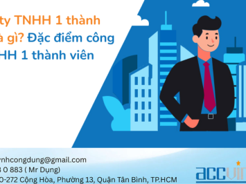 Tổng quan về Công ty TNHH Một Thành Viên