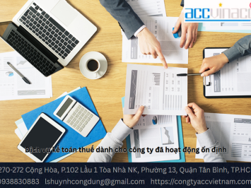 Dịch vụ kế toán thuế dành cho công ty đã hoạt động ổn định
