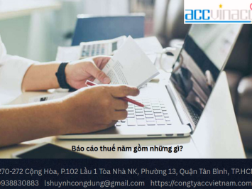 Báo cáo thuế năm gồm những gì?