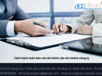 Cách hạch toán báo cáo tài chính của chi nhánh công ty