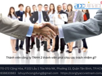 Thành viên công ty TNHH 2 thành viên phải chịu các trách nhiệm gì?