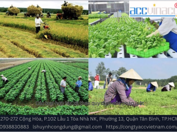 Các loại hợp tác xã theo quy định của pháp luật