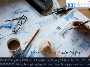 Công ty TNHH 1 thành viên có được huy động góp vốn không?