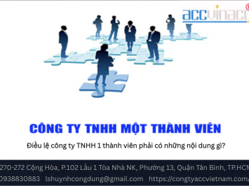 Điều lệ công ty TNHH 1 thành viên phải có những nội dung gì?