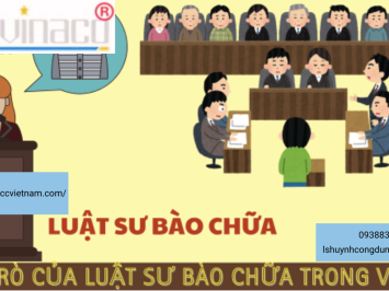 Luật sư hình sự tại Quận 6, Tp.Hồ Chí Minh