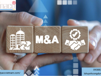 Tư Vấn Sáp nhập doanh nghiệp