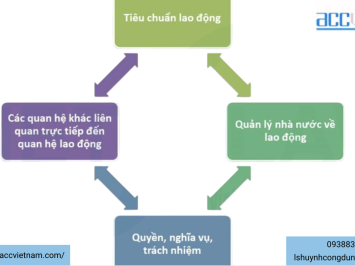 Tư vấn pháp luật lao động cho doanh nghiệp FDI
