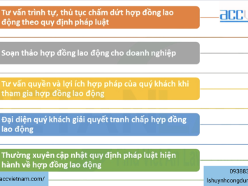 Tư vấn chấm dứt hợp đồng lao động