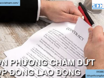 Tư vấn đơn phương chấm dứt hợp đồng lao động