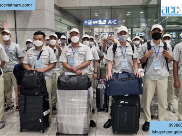 Tư vấn liên quan đến người lao động làm việc cho công ty nước ngoài