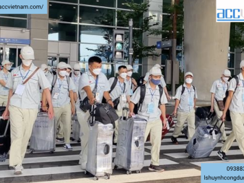 Tư vấn đưa lao động nội bộ đi lao động nước ngoài