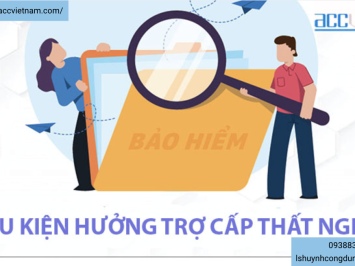 Tư vấn về bảo hiểm thất nghiệp