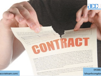 Bồi thường khi công ty chấm dứt hợp đồng lao động trái pháp luật