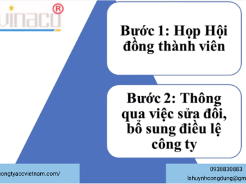 Sửa đổi, bổ sung điều lệ của công ty TNHH 2 thành viên trở lên
