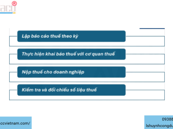Dịch vụ nộp thuế cho doanh nghiệp