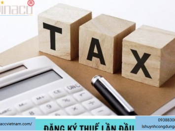 Thời hạn công ty phải đăng ký thuế lần đầu là bao ngày?