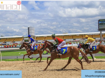 Thủ tục cấp, cấp lại, điều chỉnh, gia hạn Giấy chứng nhận đủ điều kiện kinh doanh đặt cược đua ngựa, đặt cược đua chó