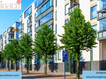 Chứng chỉ hành nghề môi giới bất động sản