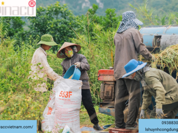 Giấy phép cho người nước ngoài làm việc và sinh sống tại Việt Nam