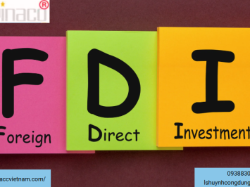 Tư vấn lựa chọn hình thức đầu tư trực tiếp, gián tiếp nước ngoài vào Việt Nam